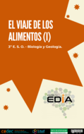 El viaje de los alimentos (I)