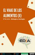 El viaje de los alimentos (II)