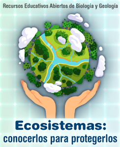 Ecosistemas, conocerlos para protegerlos