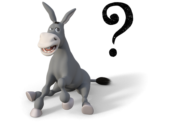 Burro haciéndose una pregunta