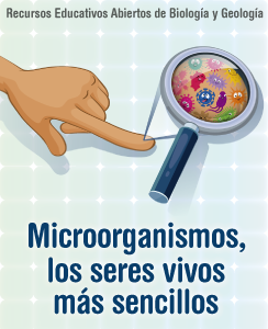 Microorganismos, los seres vivos más sencillos